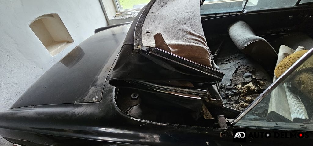 Mercedes-Benz 220 SE SE CABRIO/W111/1963/88kW/V6